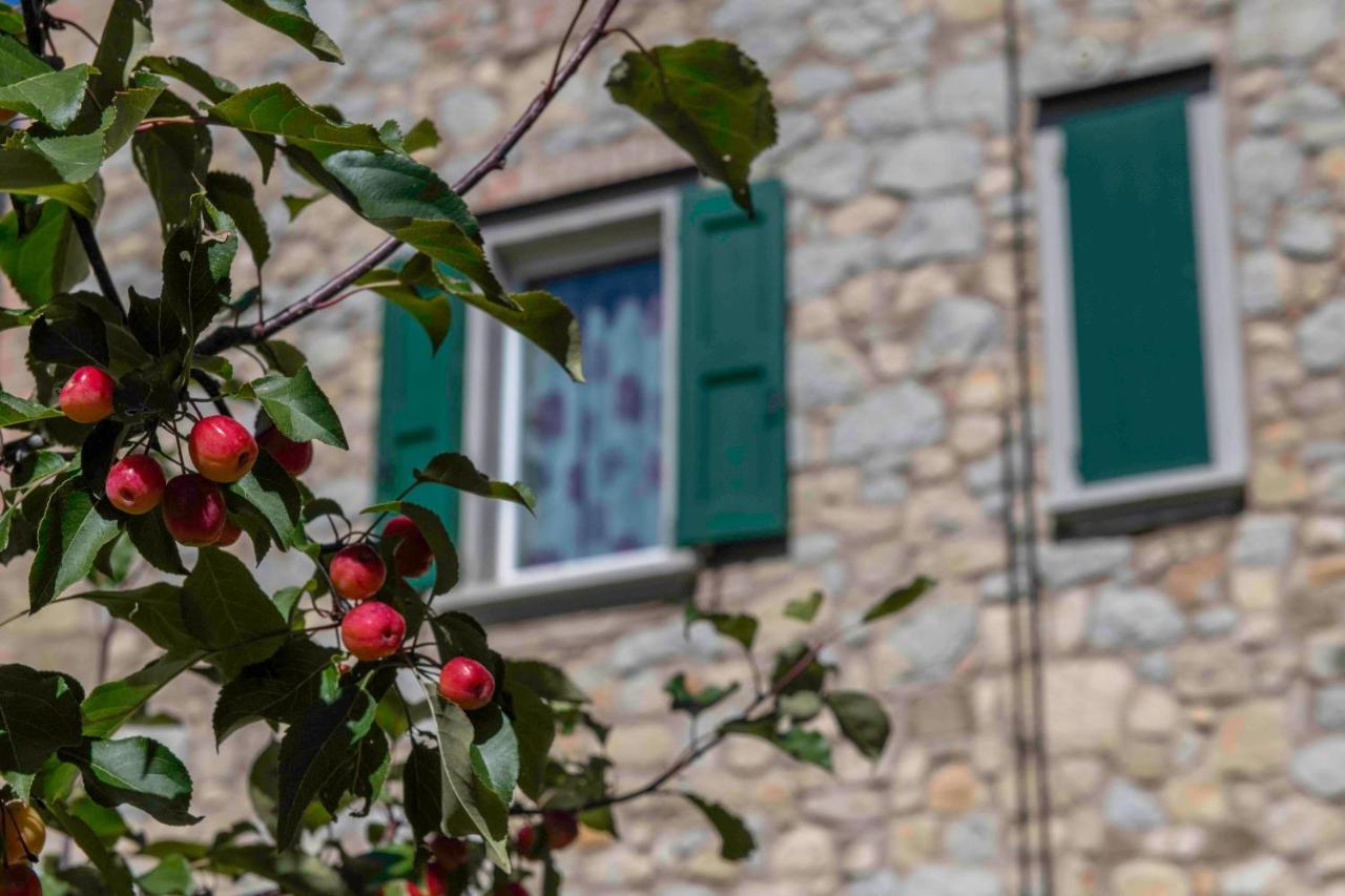 Podere P Ratizzoli II Piano Tole Kültér fotó